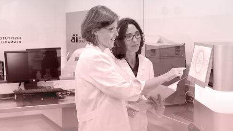 Instituto Bernabeu Integrates SNP Analysis in Its PGT-A Tests to Offer the Most Advanced Genetics on the Market