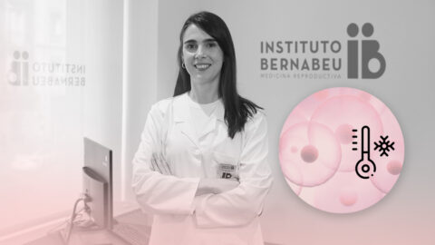 ¿Cuánto duran los ovocitos congelados?