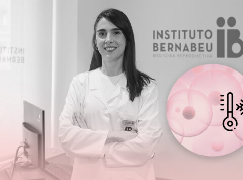 How Long Can Frozen Eggs Be Stored?