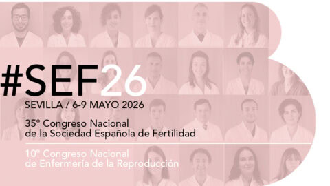 The scientific committee of the Spanish Fertility Society (SEF) congress accredits 28 research studies from Instituto Bernabeu for presentation at its 35th congress