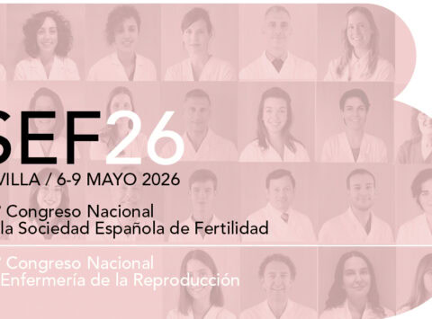 El comité científico del congreso de la Sociedad Española de Fertilidad (SEF) acredita 28 trabajos de investigación de Instituto Bernabeu para su presentación en su XXXV congreso